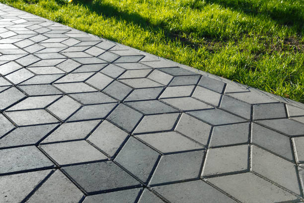 Best Local Driveway Pavers  in Bryn Mawr, PA